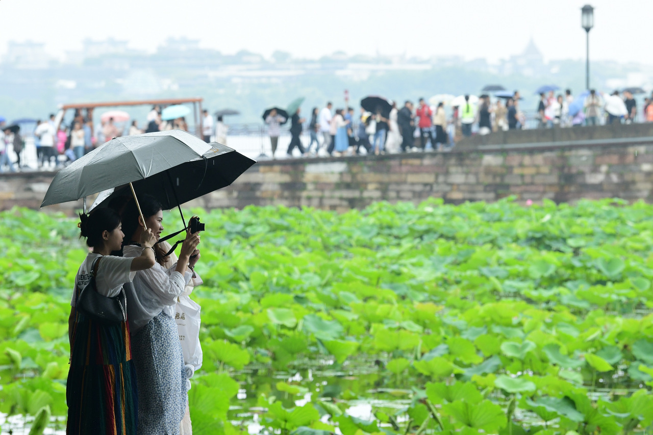 雨水由強趨弱  雨中游西湖情趣“拉滿”