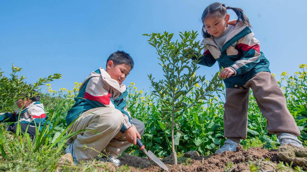 为春天种下一棵树  娃娃自然课堂进农场