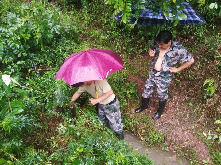 暴雨黄色预警 杭州城区已启动防汛防台Ⅲ级响