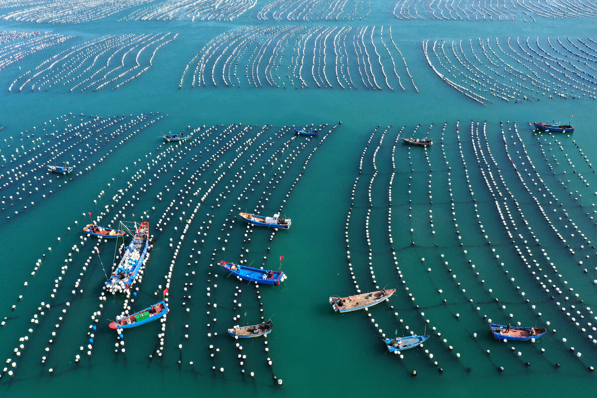 DJI_0821.JPG