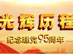光辉历程——纪念建党95周年