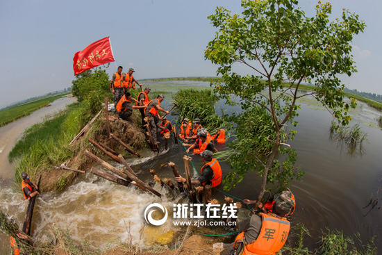 7月12日，东风联圩出现决口险情，该部紧急驰援抢险。图为官兵跃入水中进行打桩作业。（史涵宇摄）.jpg