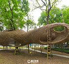 巨型“鸟巢”亮相杭州