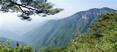 安吉空气具有"自然痊愈力 龙王山负氧离子浓度远超最高标准