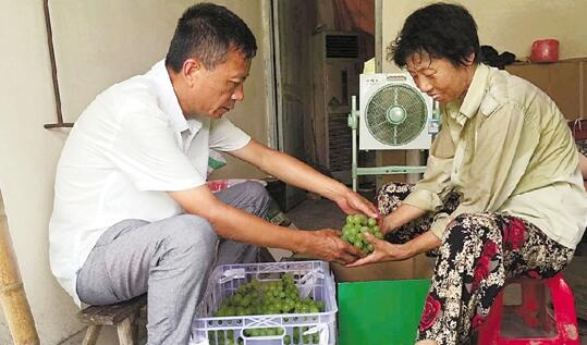 南浔区向阳村村支书杨祥春 村里的事就是我的事