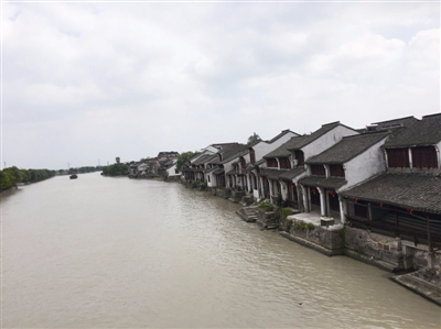 和孚镇荻港村:梦里水乡是归处