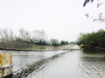 富阳场口镇创建三个3A级景区,推进全域景区化