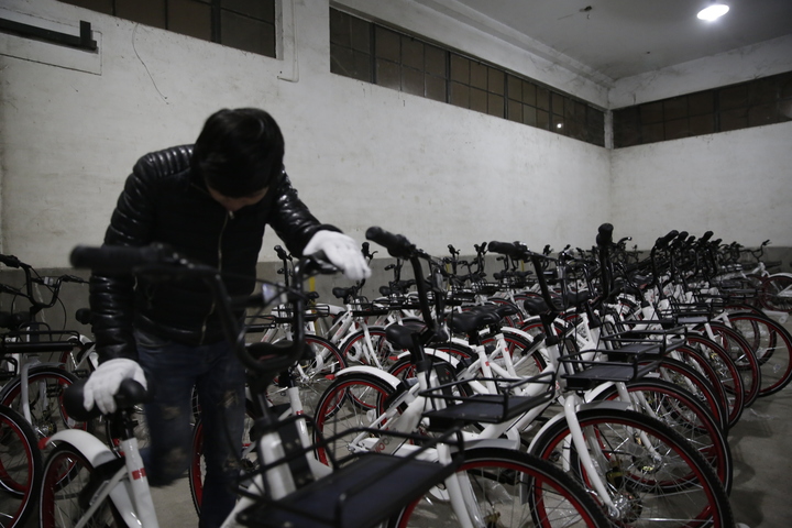 共享单车如何跑上杭城街头 记者独家视频揭秘