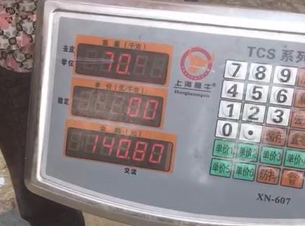 杭州千岛湖村民捕获一条140斤青鱼 比不少人还重