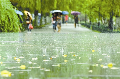 暴雨!这个周末泡汤了! 杭州昨夜启动防汛Ⅳ级