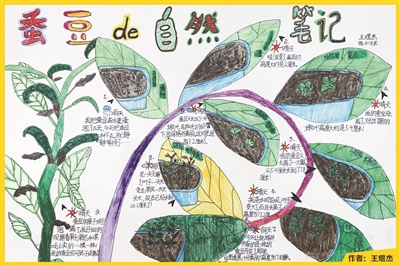 寒假里，杭州图书馆里来了一批 特别的自然科学“教材”