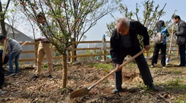缅怀英烈 萧山市民众筹20多万元种下246棵英雄树