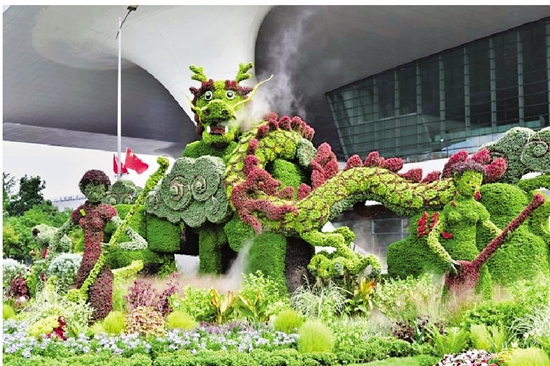 植物雕塑 集体亮相-浙江新闻-浙江在线