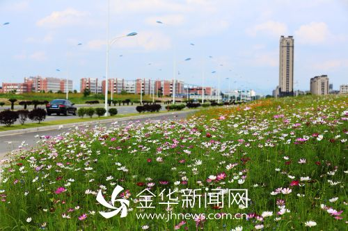 2浦江中国水晶城原来的荒地成了花海—吴小杭摄影