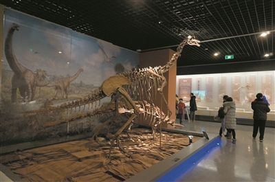 恐龙在浙里:金华市博物馆\