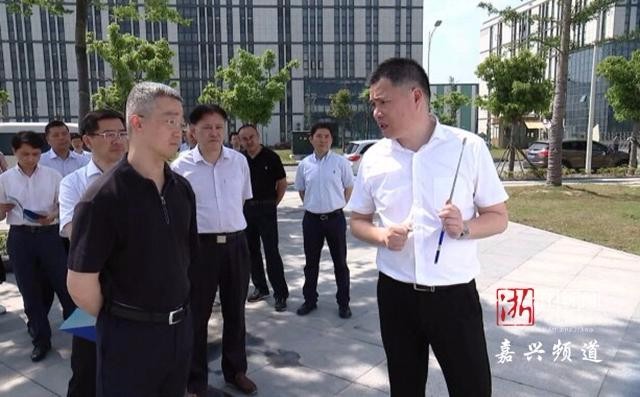 感受"火热"新动能 嘉兴市长胡海峰因何点赞这些企业