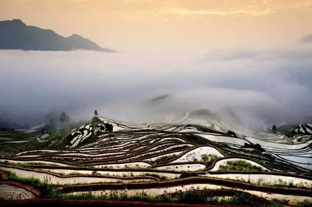 天青色等烟雨 云和梯田在等你