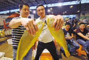 东海第一网海鲜昨抵甬 野生大黄鱼条重达1.5公斤