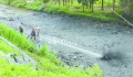 河道清淤改善水质