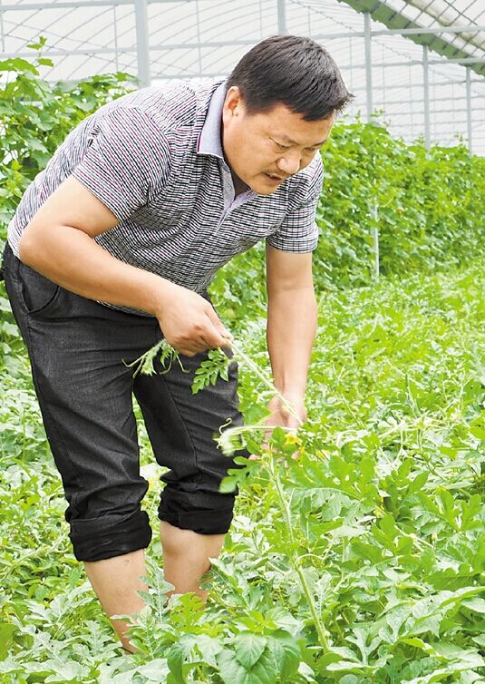 衢州农村电商演绎新种田记 他们在土地上撒下