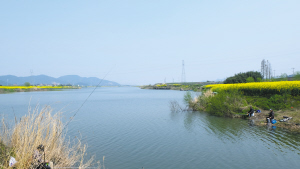 水质明显改善 垂钓也成风景