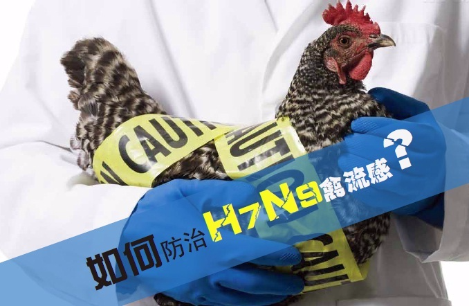 勿买活禽!浙江进入H7N9流感发病高峰期