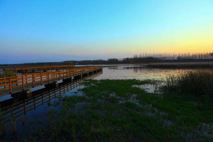 绍兴市:越城青甸湖湿地,上虞杭州湾海上花田省级湿地公园,嵊州西