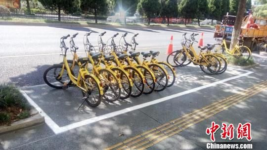 新增泊位内共享单车整齐有序停放　杭州市城管委提供　摄