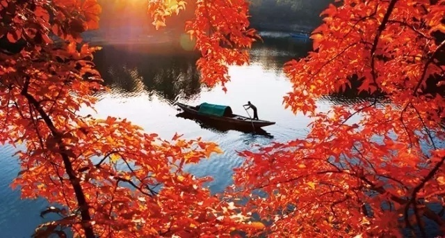龙川湾景区位于千岛湖西南湖区，这个时节的龙川湾处处秋色撩人，红的秋叶、翠的山、清的湖水、白的芦苇花 .jpg