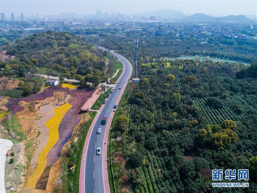 （社会）（5）浙江“千万工程”全面提升乡村人居环境