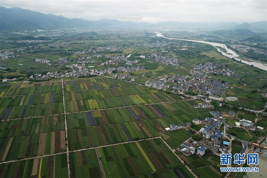 （环境）（16）浙江：在长江经济带建设中发挥生态文明建设示范区作用
