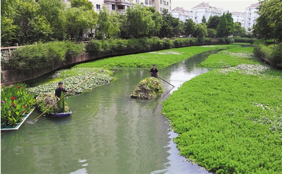 河道治理生态化