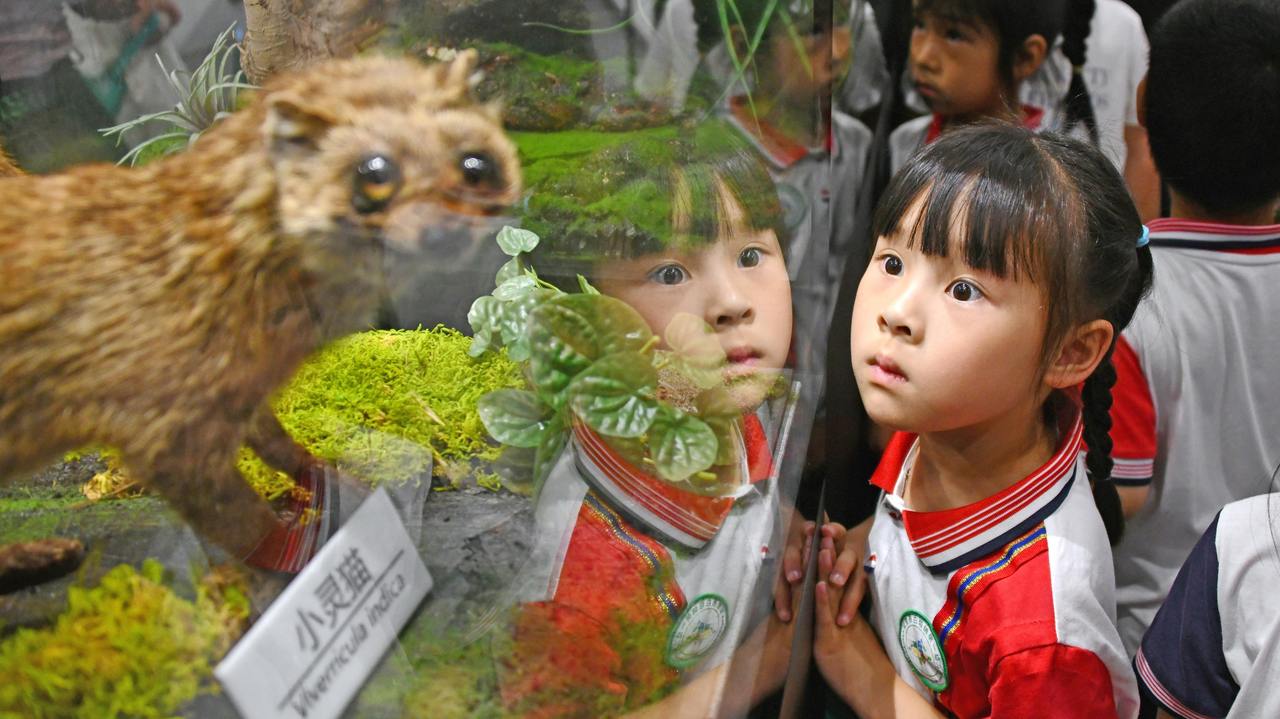 了解生物种类 增长生物知识