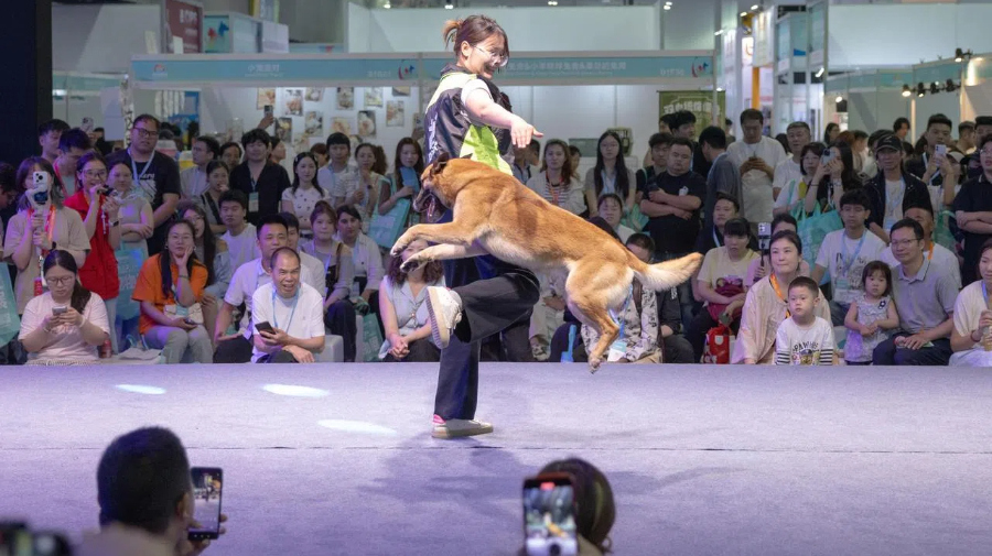 “它经济”火爆 义乌宠物展聚全球目光