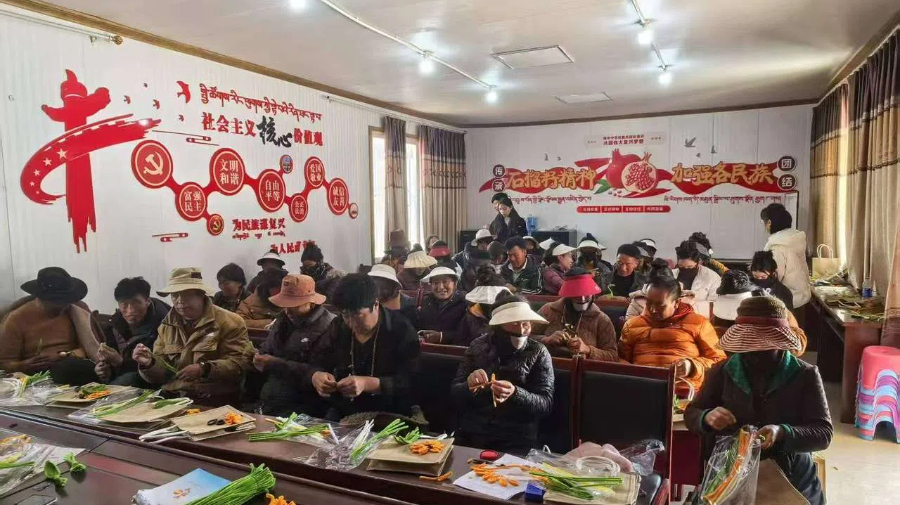 深化东西部协作 临安白玉携手谱写就业富民新篇章
