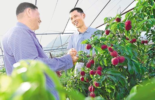 在浙江寻找现代“李善德”