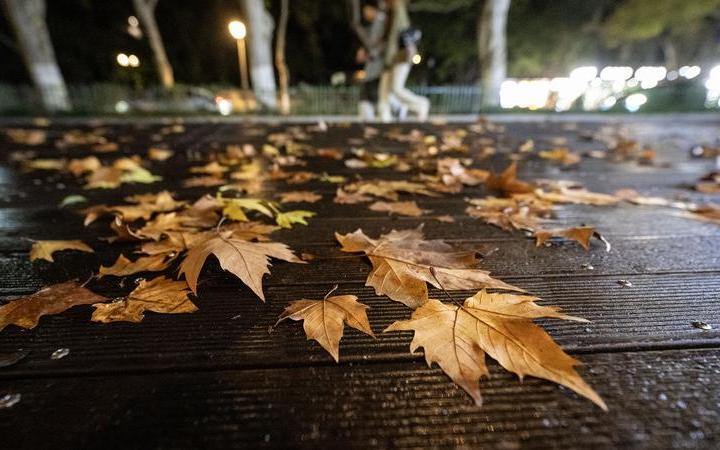 下半年首场寒潮速冻西湖，杭州正式入冬