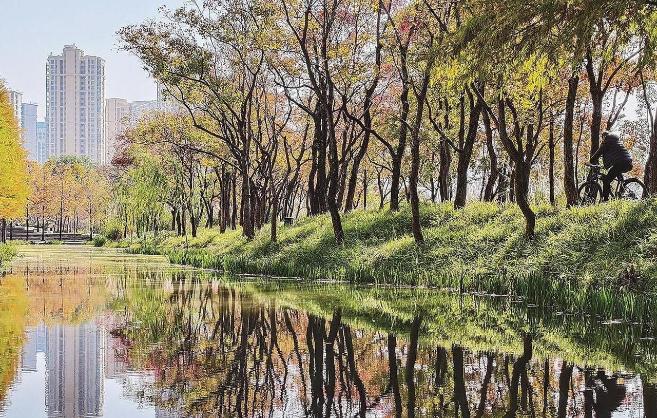 城市公园 五彩斑斓