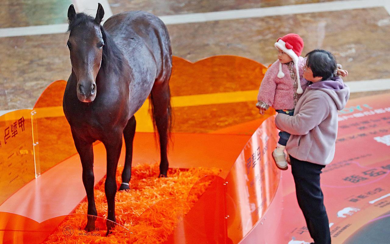 浙江自然博物院举办马年生肖贺岁展