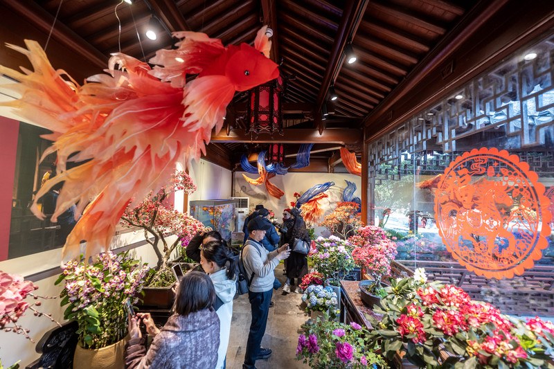 西湖迎春花展联袂《太平年》登陆钱王祠