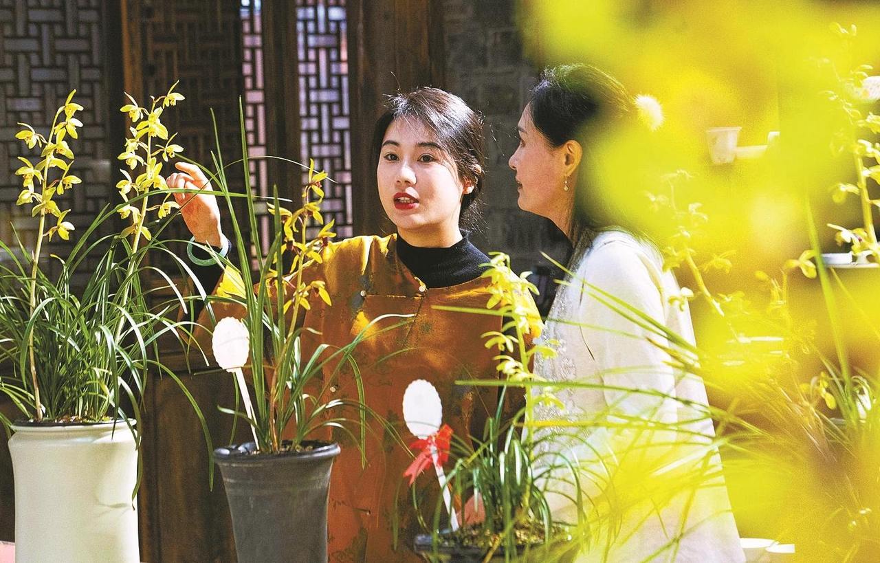 幽兰吐芳春意浓