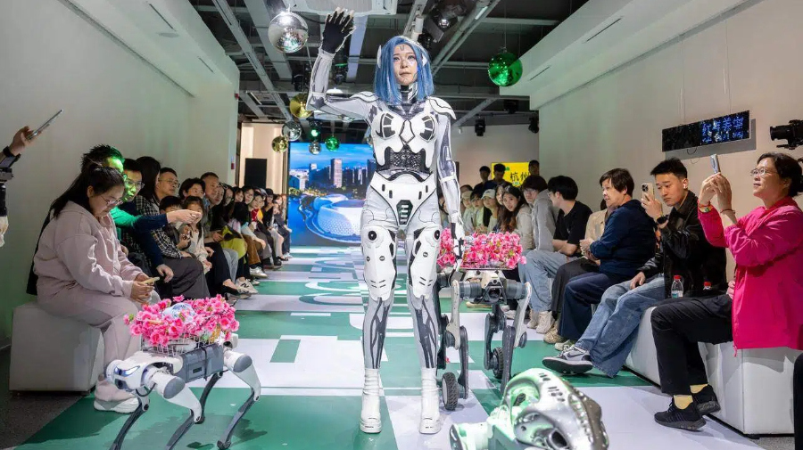 宠物时装秀 “它”成大明星