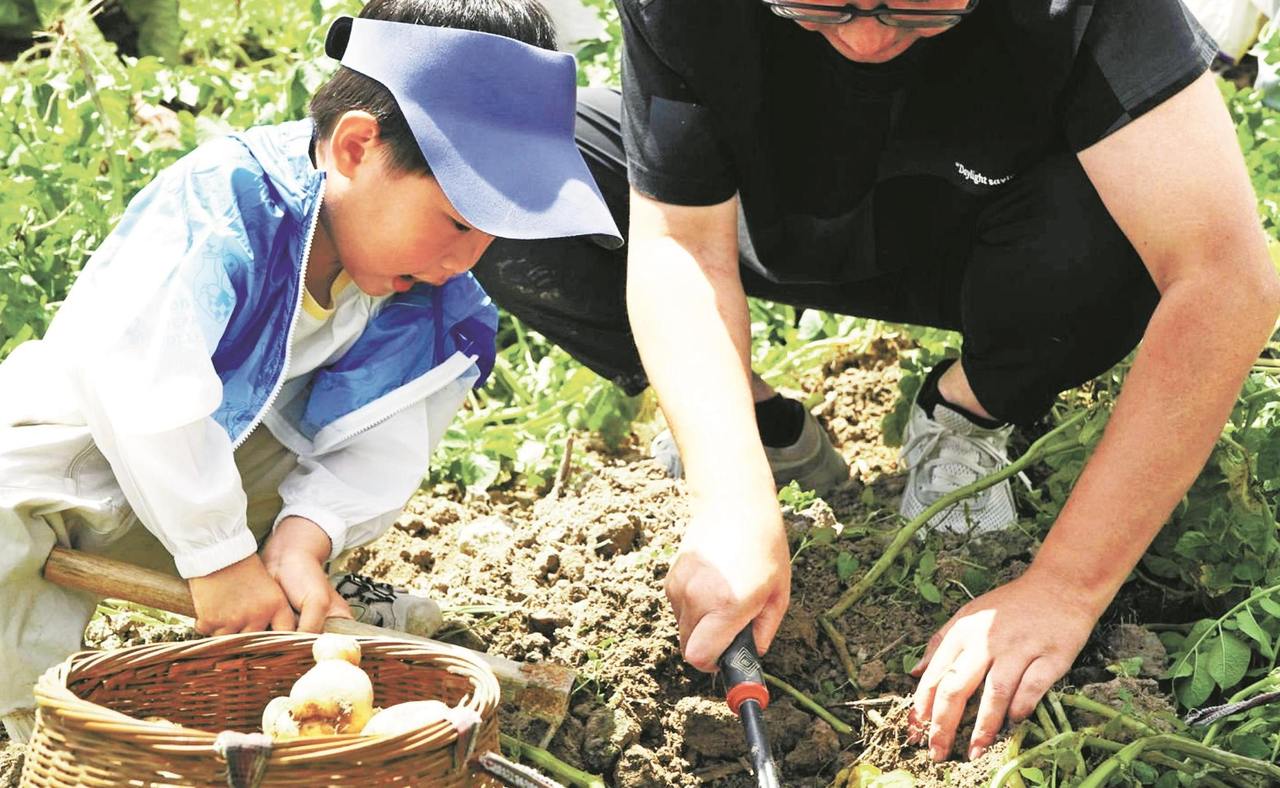 “土豆派对”乐翻天