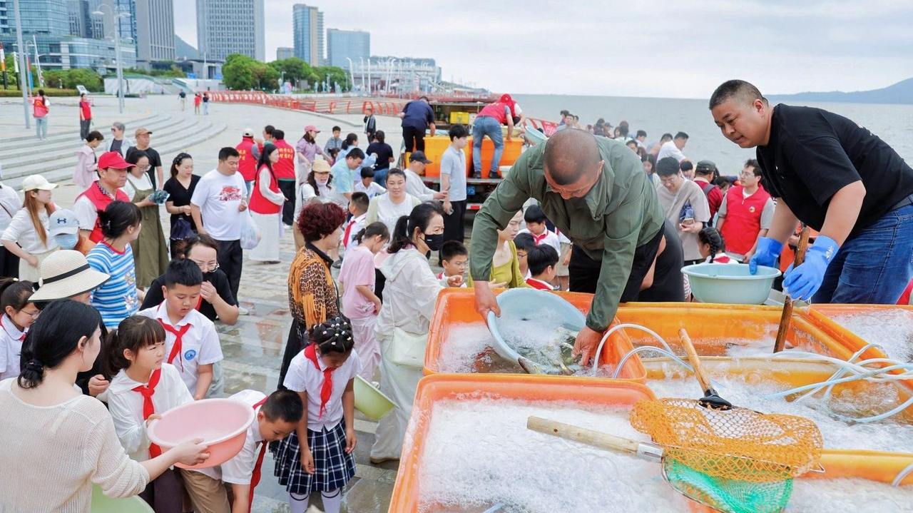 全国放鱼日 舟山近万尾大黄鱼放归东海