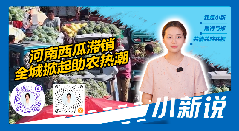 小新说丨河南西瓜滞销 这座城的回应，比西瓜还甜