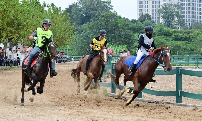 策马驰骋庆国庆 金华马术赛事引客来