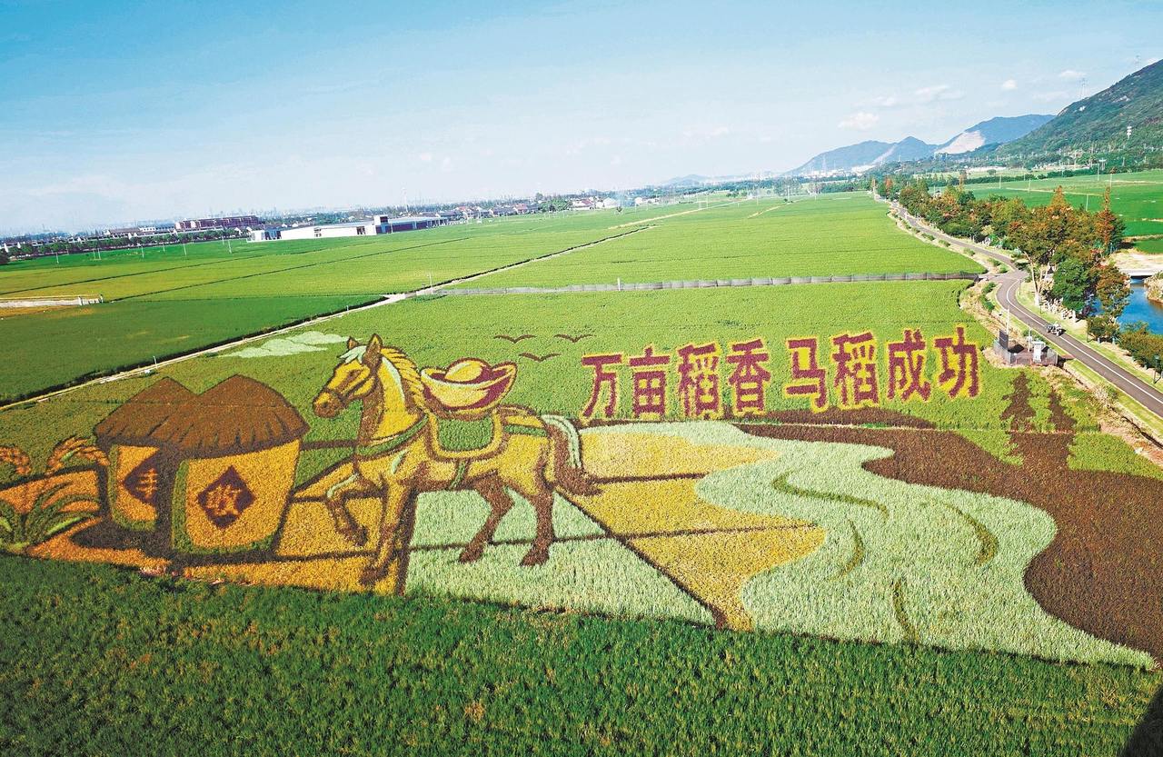 马“稻”成功