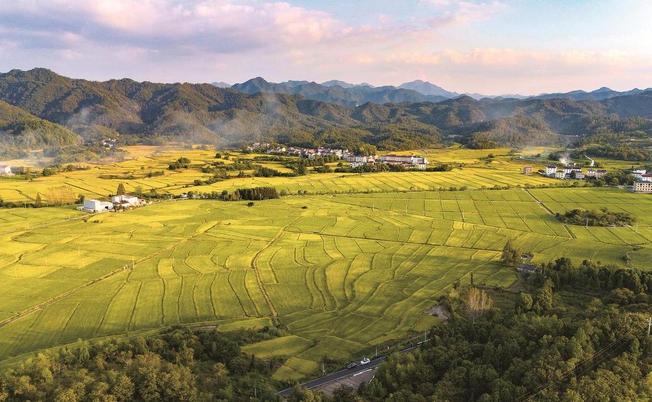 田园鎏金 山乡秋韵
