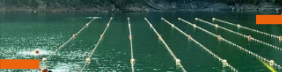 互动长图 | 炎炎暑天来玩水，划水一整夏，“浙”里可是认真的