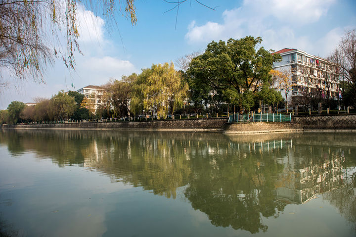 杭州市紫金港河清澈如镜,翠绿如画.浙江在线记者 李震宇 摄